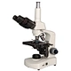 Trinocular Biological Microscope